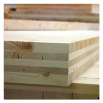 Holzingenieurbau